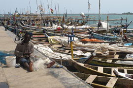 Climate Chaos in the South