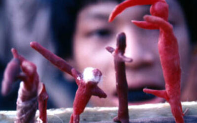 Secrets of the Tribe