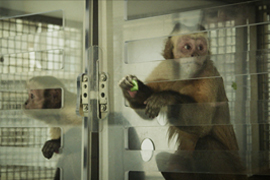 The Price of Fairness