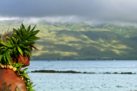 Aquariums: The Dark Hobby